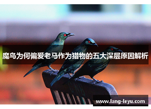 魔鸟为何偏爱老马作为猎物的五大深层原因解析