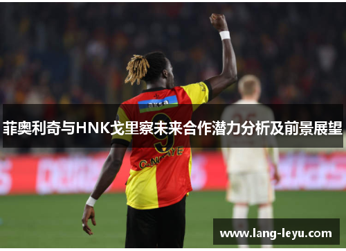 菲奥利奇与HNK戈里察未来合作潜力分析及前景展望