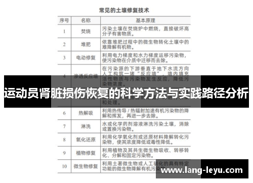 运动员肾脏损伤恢复的科学方法与实践路径分析